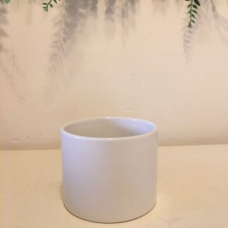 Molde de yeso para frasco/cilindrico MFF001