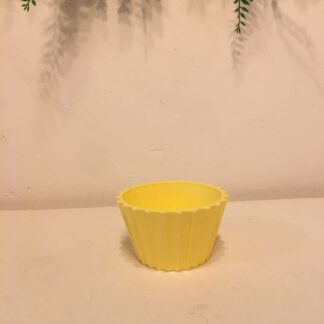 Molde de yeso para muffin MMA002