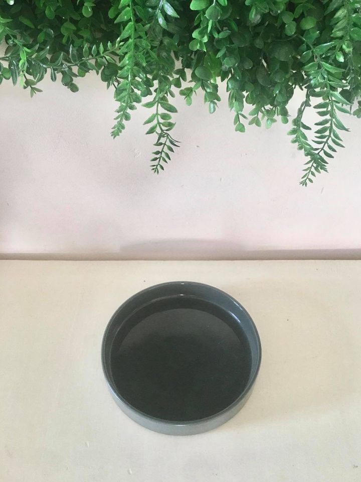 Molde de yeso para plato playo MPV020 - Imagen 2