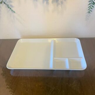 Molde de yeso bandeja con divisones MBDV001