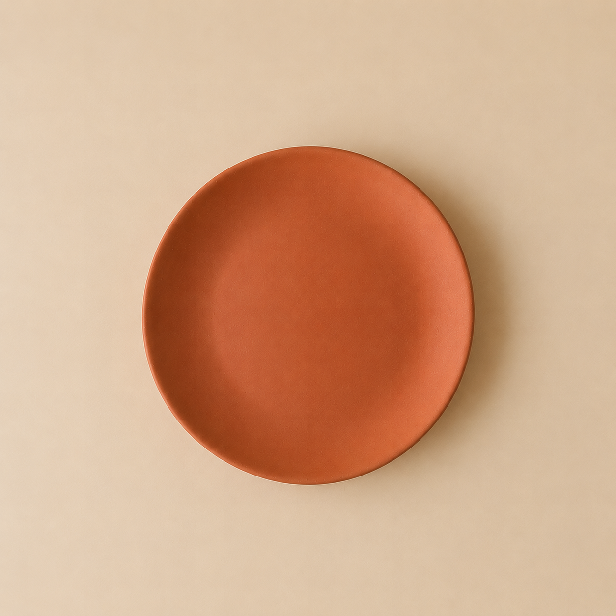 Molde de yeso para plato playo sin borde MPPB001 - Imagen 2